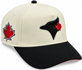 Toronto Blue Jays